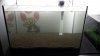 20140527_222412.jpg
