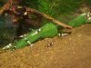 Compressed_1290.jpg
