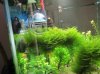 IMG_0425.JPG