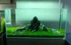 Aquarium-Hardscape.jpg