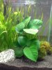 20140622_192606.jpg