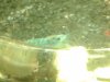20140705_144031.jpg