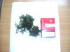BILD3125.JPG