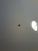 1405147565364.jpg