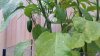 20140725_201657.jpg