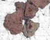 lava.jpg