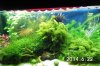 Aquarium 2.jpg
