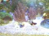 BILD3164.JPG