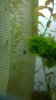 WP_20140827_18_30_52_Pro_resize.jpg