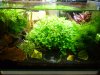 25superfish2.jpg