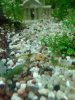 20140828_165034.jpg