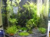 k-DSC02591.JPG