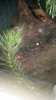 20140820_195755.jpg