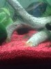 20140913_191157.jpg