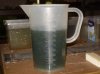Süßwassertang.JPG