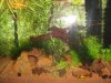 k-IMG_1016.JPG