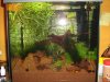 k-IMG_1017.JPG
