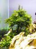 K1600_20140924_164153.JPG