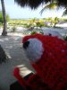 Strand.jpg
