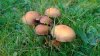WP_20131019_004.jpg