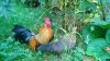 WP_20131019_021.jpg