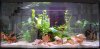 Aquarium.jpg