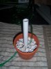 100_2050.JPG