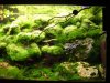 DSC02714 [].JPG
