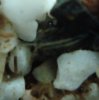 DSC02005.JPG