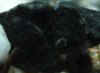 DSC02006.JPG