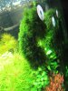 IMG_5186.JPG
