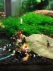 DSC00340.JPG