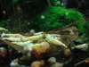 DSC00423.JPG