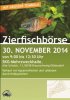 Zierfischboerse_2014_X3.jpg