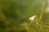 IMG_0103 - Kopie.JPG
