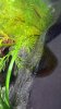 20141204_143106.jpg