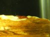 DSCF0258.JPG