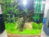 20150111_172945.jpg