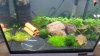 20150117_142125.jpg