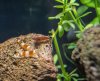 Aquarium-4.jpg