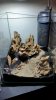 Stone garden 3.jpg