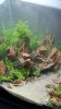 Stone garden 5.jpg