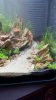Stone garden 7.jpg