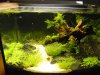 12l_070608.jpg