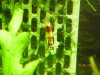 KIF_1316.JPG
