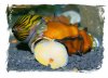 20080615036.jpg