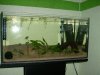 Neues_Aquarium_002_600x450.jpg