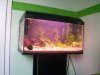 Neues_Aquarium_001_600x450.jpg