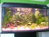 Neues_Aquarium_003_600x450(2).jpg