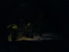 DSC02247.JPG